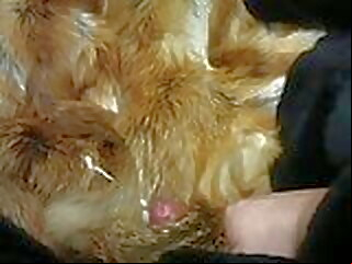 fur cum