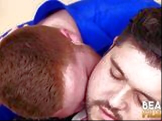 bearfilms Gayporn gays